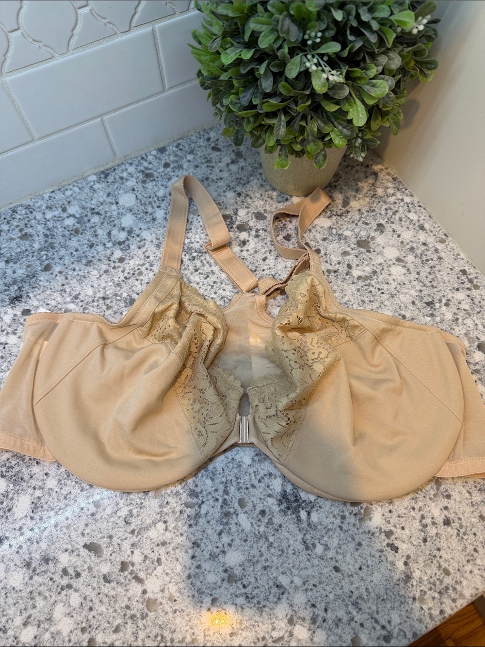 Delimira Lace-Trim Full Coverage front closure razor back size 46DD beige